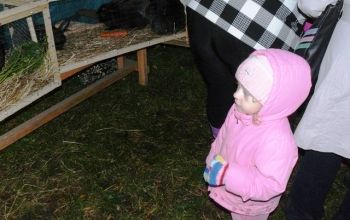 Осенняя ярмарка