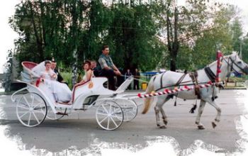 Карета только в г. Асино