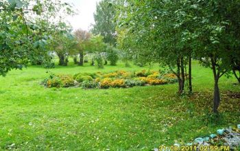 территория школы № 2